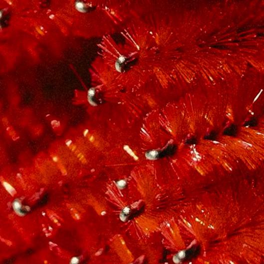 THE PRESTIGE LASH PACKAGE